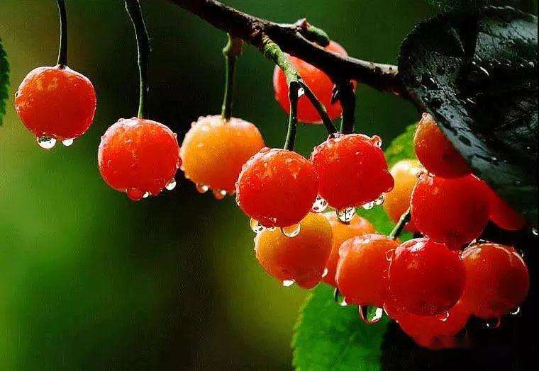 上?？婆d儀器