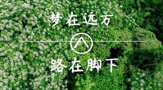 上?？婆d儀器